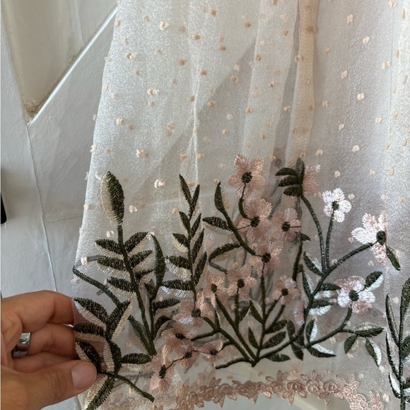Belle Terre Cream Blush Embroidered Tulle Floral Dot Dress Feminine Fairycore XL - Picture 5 of 10